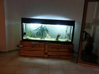 Hotel Cabana Trei Brazi