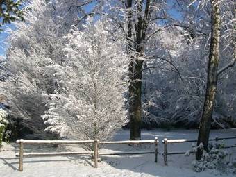 Hotel Albergo Da Gildo