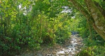 Hotel Volcano Lodge & Gardens