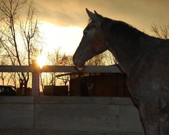 Hostal Mulino Delle Valli
