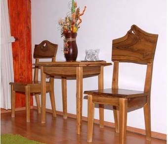 Hostal Pensiunea Doina