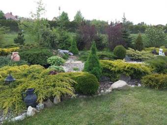 Hostal Pokoje Go?cinne Magnolia Rooms