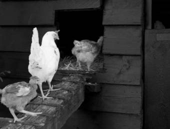 Agroturismo Casa Rural Higeralde