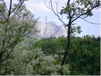 Agroturismo Country House San Giorgio