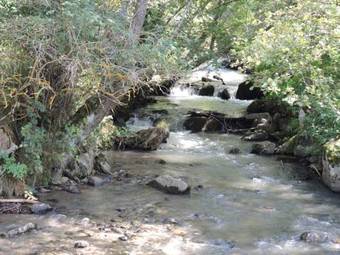 Apartamento Loft In Saillagouse
