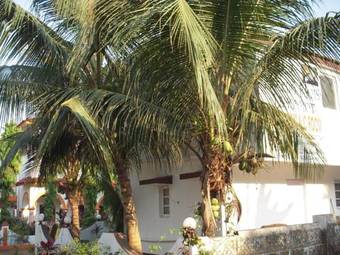 Hostal Macedo Palms Lemonmint