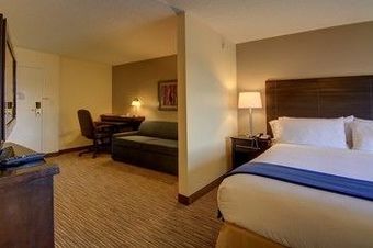 Hotel Holiday Inn Express & Suites Alpharetta