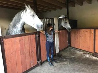 Hostal Apartamenty Nad W?glem