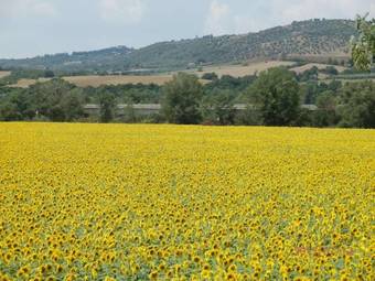 Hostal Agriturismo Oasi Del Pianettino