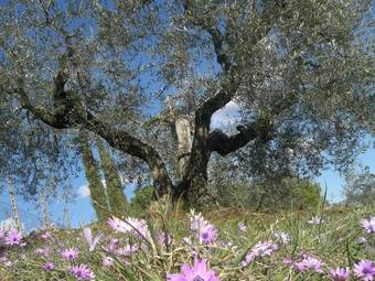 Agroturismo La Posta Di Confine