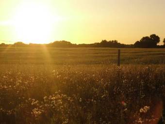 Agroturismo Herdade Do Freixo Do Meio