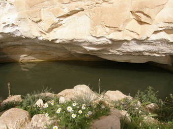 Apartamento Hadass Desert Inn