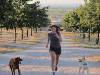 Hostal Lama Di Luna Biomasseria