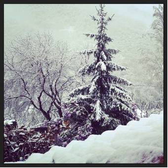 Agroturismo Posada De Tollo