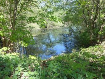 Apartment In K�striner Vorland 2607