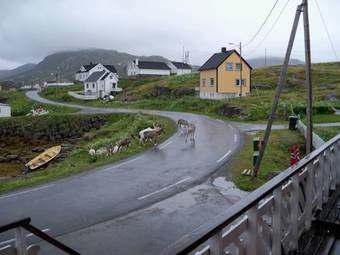 Apartamento Northcape Seapark