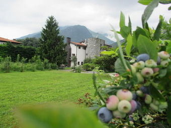 Hostal Agriturismo C� Del Lago