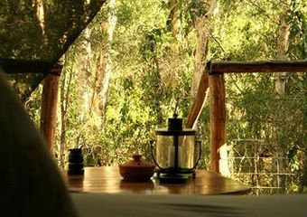 Hotel Paperbark Camp