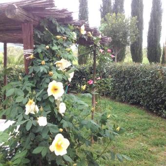 Agroturismo Agriturismo Benvenuti