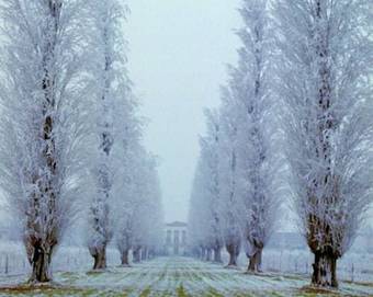 Hostal Agriturismo Dominio Di Bagnoli