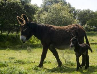 Agroturismo La Casa De Los Arribes