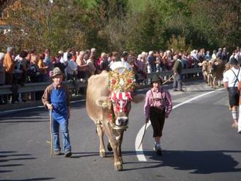 Aparthotel Residence Terentis