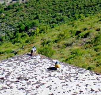 Bed & Breakfast Pedras Lavradas