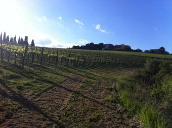 Agroturismo Agriturismo La Ginestrella