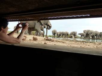 Lodge The Bush House