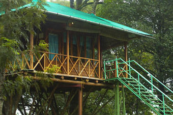 Viviendas Turisticas Dream Catcher Plantation Resort