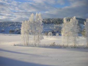 Agroturismo Torg�sg�rden Hostel