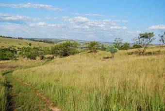 Hostal Linquenda Guest Farm