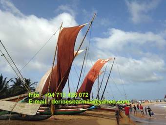 Bed & Breakfast Villa Taprobane