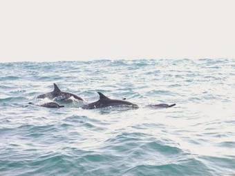 Hotel Well� Wadiya