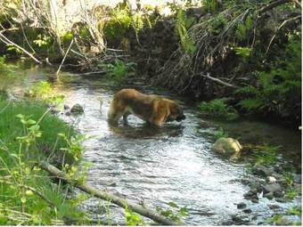 Agroturismo Quinta De Entre Sebes