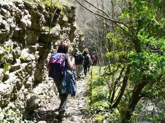 Guest Apartament Clarice