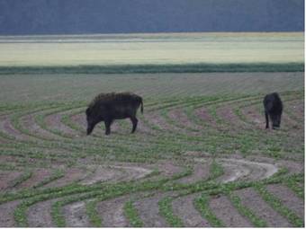 Bed & Breakfast La Bastide De Barbizon