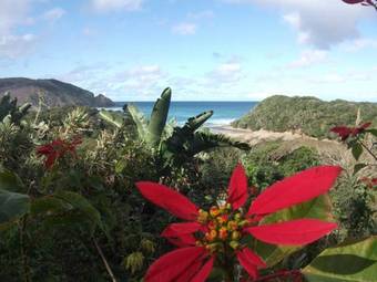 Lodge Delicious Monster Retreat And Restaurant