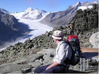 Bed & Breakfast Chalet Des Alpes