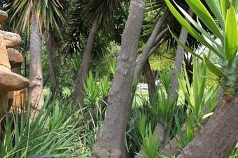 Hostal Bellacanella Guesthouse