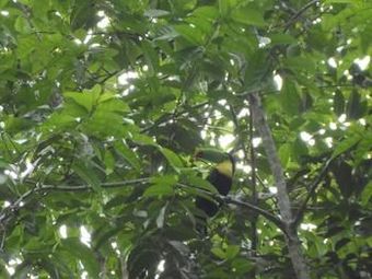 Hotel Tierra De Sue�os Lodge & Wellness Center