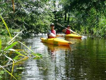 Hotel Anthares World Resort