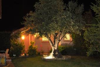 Les Cypr�s Florentins