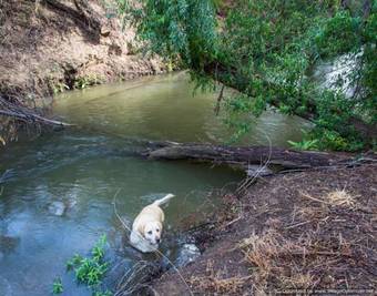 Hostal African Vineyard Guesthouse