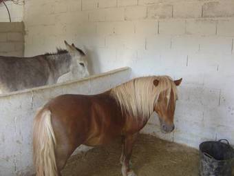 Agroturismo Cortijo La Fe - Spa