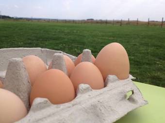 Apartamentos Relax Zone S.r.o