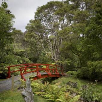 Bed & Breakfast Rapaura Watergardens