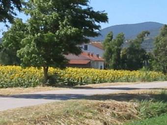 Agroturismo Agriturismo San Luigi