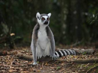 Agroturismo Lily Pond Country Lodge