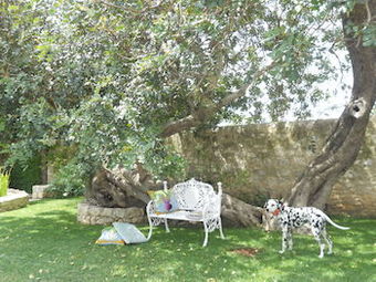 Agroturismo Tenuta Cammarana